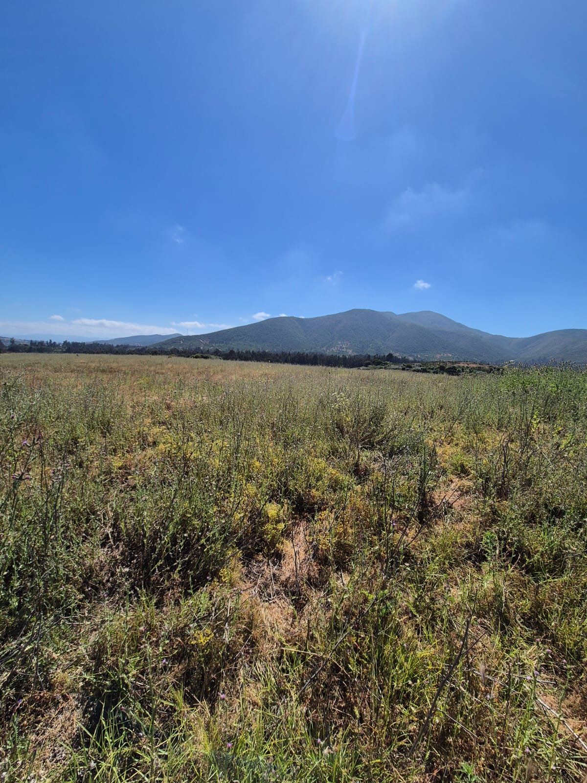 Vista panorámica al cerro y vegetación