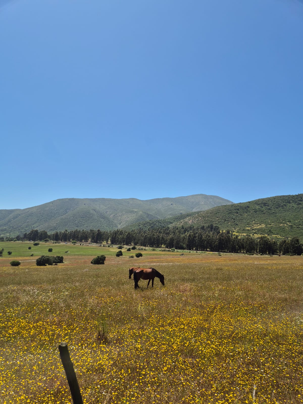 Vista panorámica del terreno y lotes en Altos del Sol Mantagua